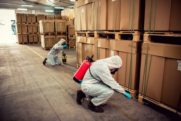 Best Best Pest Control Companies  in Liberty, MO