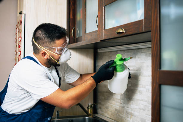 Best Pest Control for Businesses  in Liberty, MO