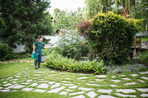 Best Affordable Pest Control Services  in Liberty, MO