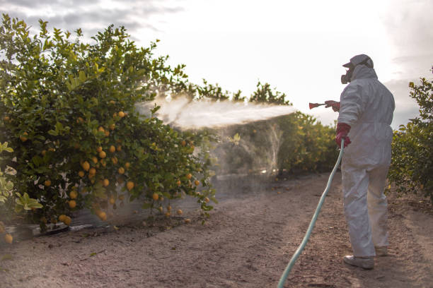 Best Pest Control Near Me  in Liberty, MO