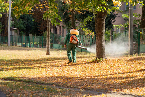 Professional Pest Control in Liberty, MO