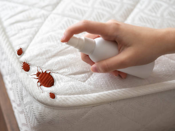 Best Pest Prevention Services  in Liberty, MO